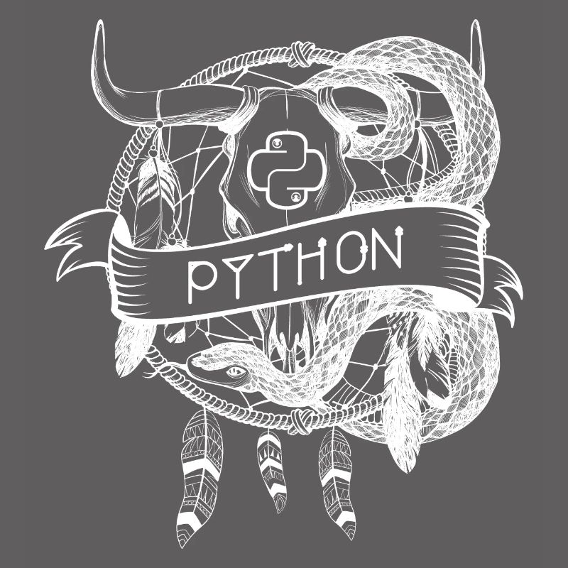 technologie de langage de programmation python