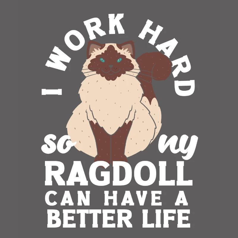 I work hard so my Ragdoll can have a better life