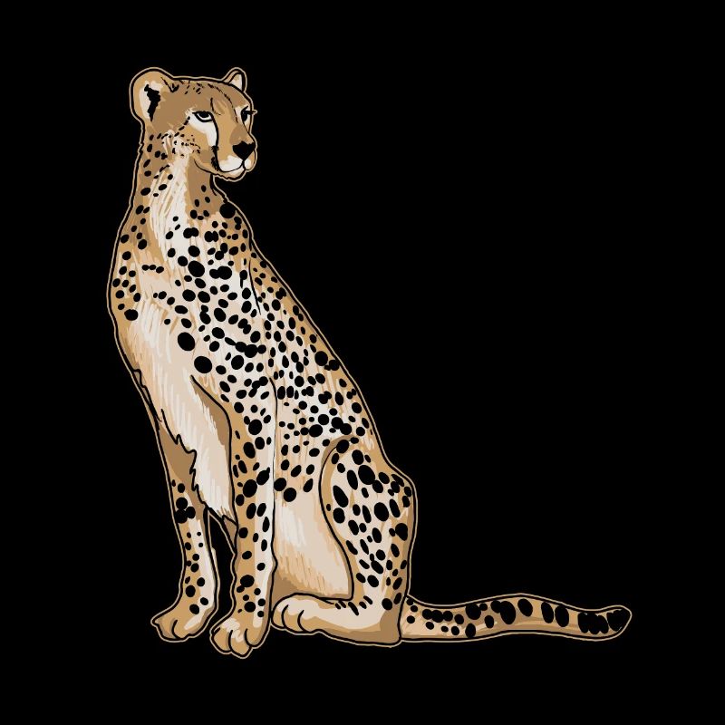 Cheetah