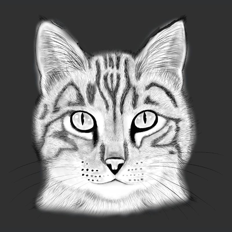 Tête de chat dessinée