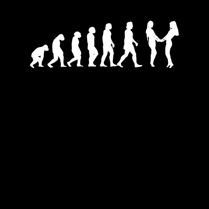 Lgbtq Rainbow Flag Lesbian Evolution Queer