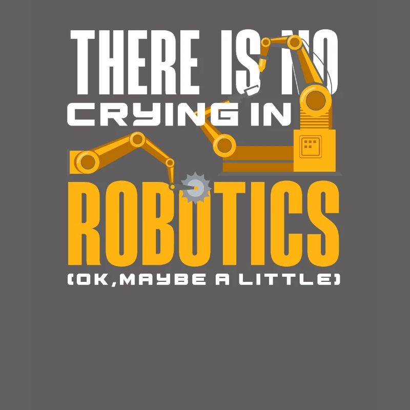 Robotics Robot Programmer