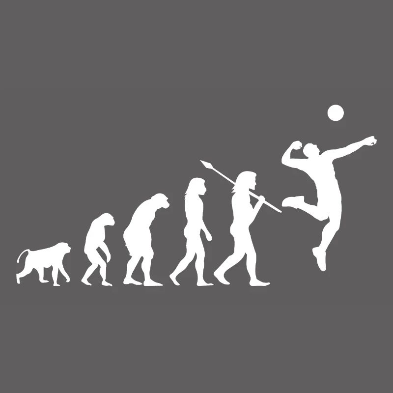 Volleyball Evolution