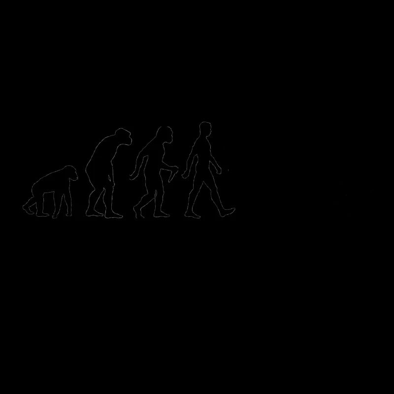 Spikeball Evolution Roundnet