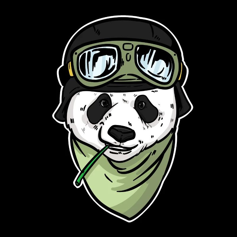 Panda bear pilot Panda hobby aviator for pilots