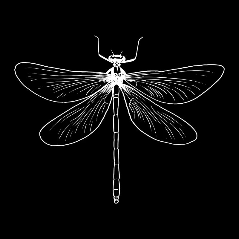 Libellule
