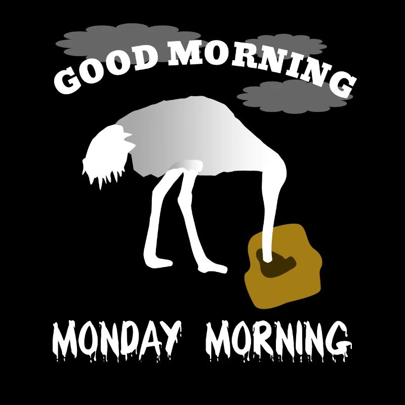 Good morning Monday, ostrich draws on
