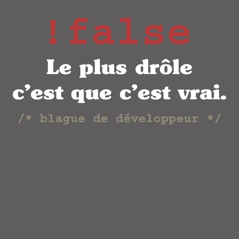 Blague programmeur développeur codeur informatique