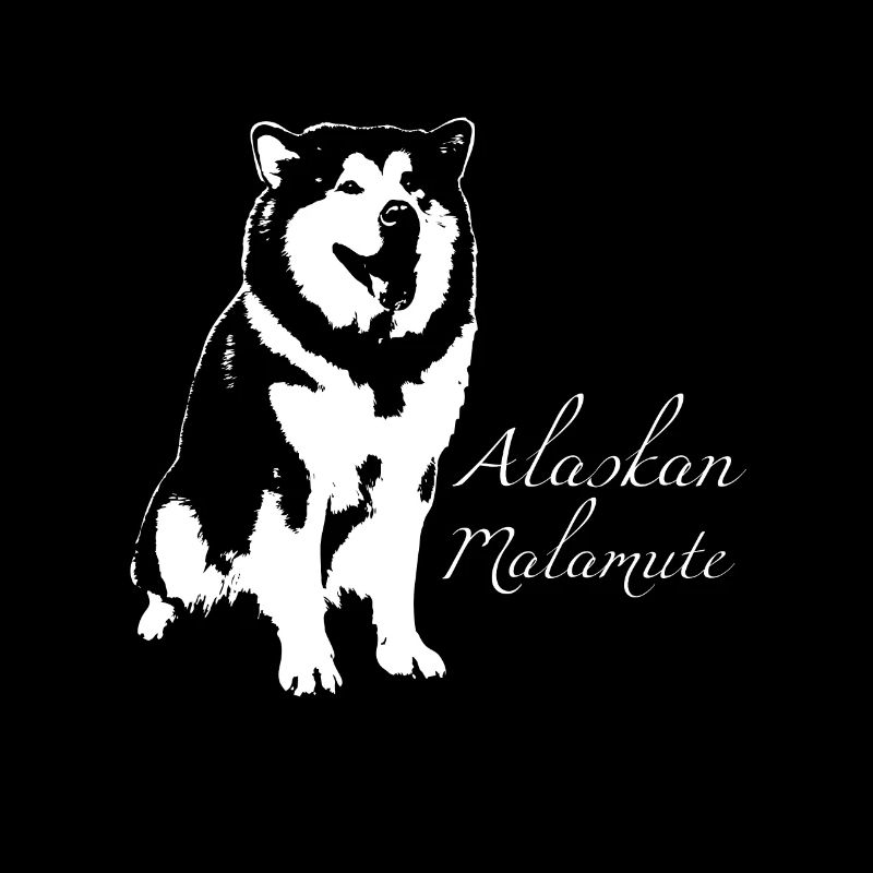 Malamute d'Alaska