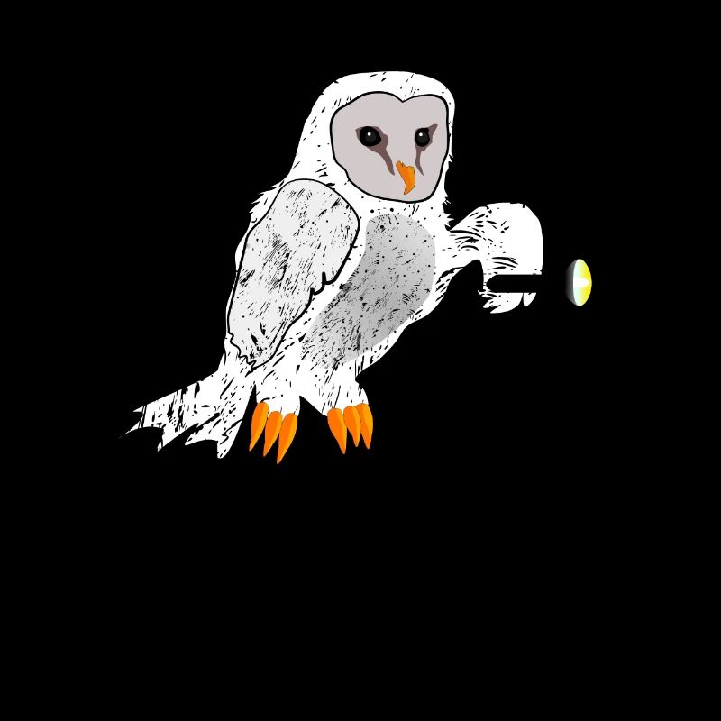 Bird Night Watch Owl with Flashlight