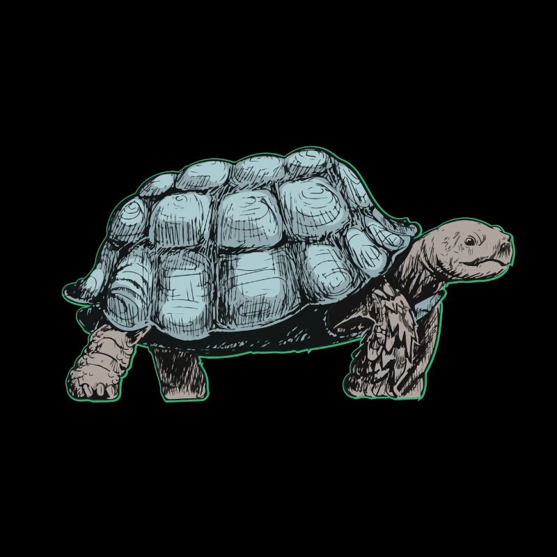 turtle