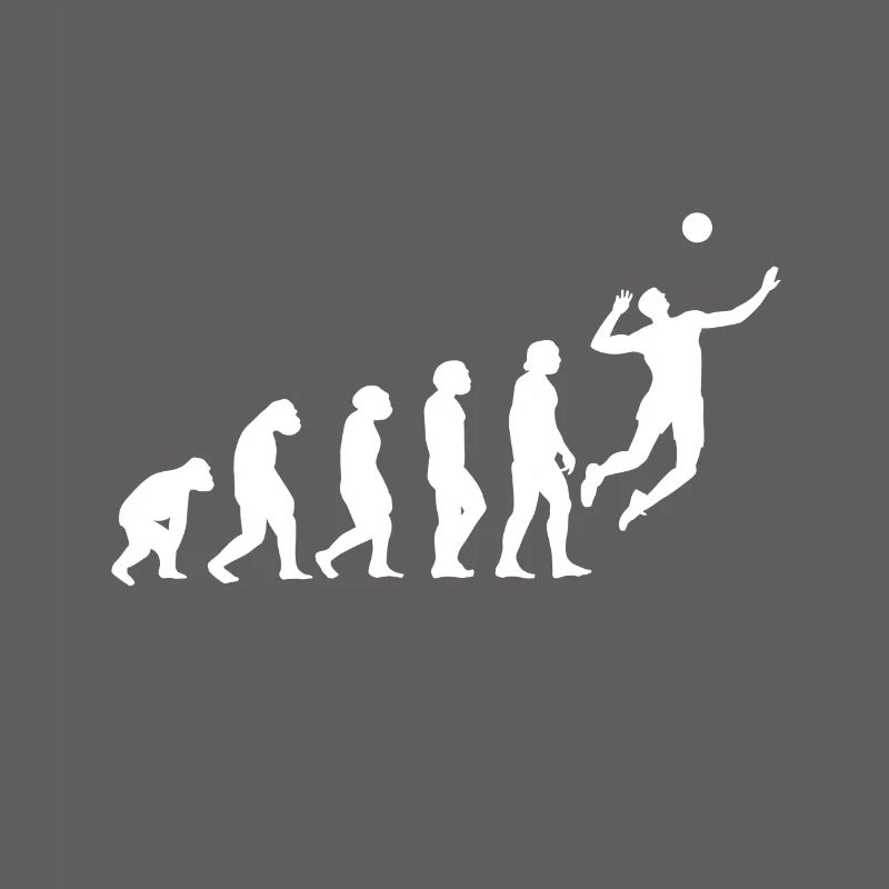 Volleyball Evolution