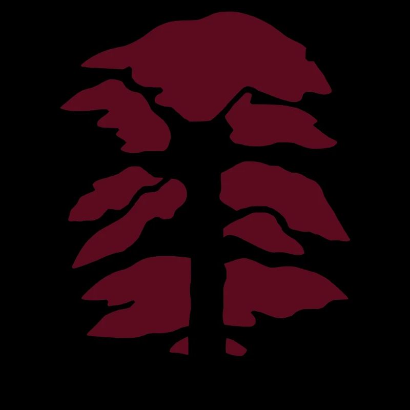 Tree conifer cedar fir, two-tone