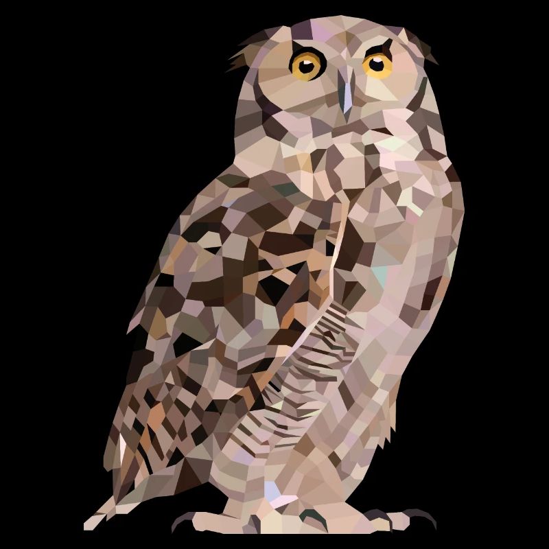 Hibou dans la conception de polygones