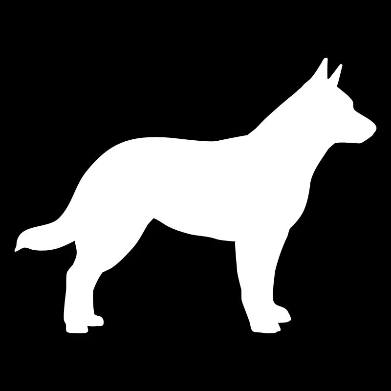 Australian Cattle Dog