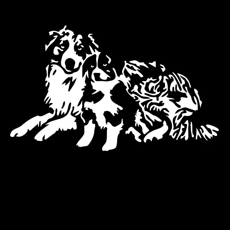 Australian Shepherd Generations