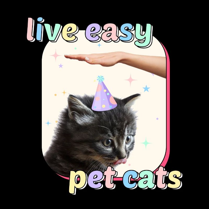 Cat Memes - Live Easy Pet Cats