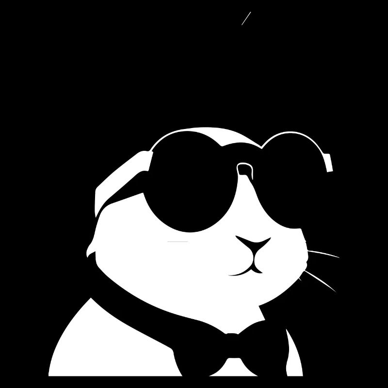 Lunettes de soleil Funny Rabbit Cool Sunglas Rabbit