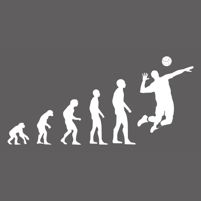 Evolution du volleyball