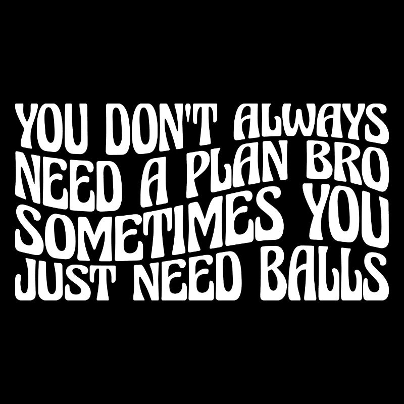 No Plan Needed Just Balls Bro 4