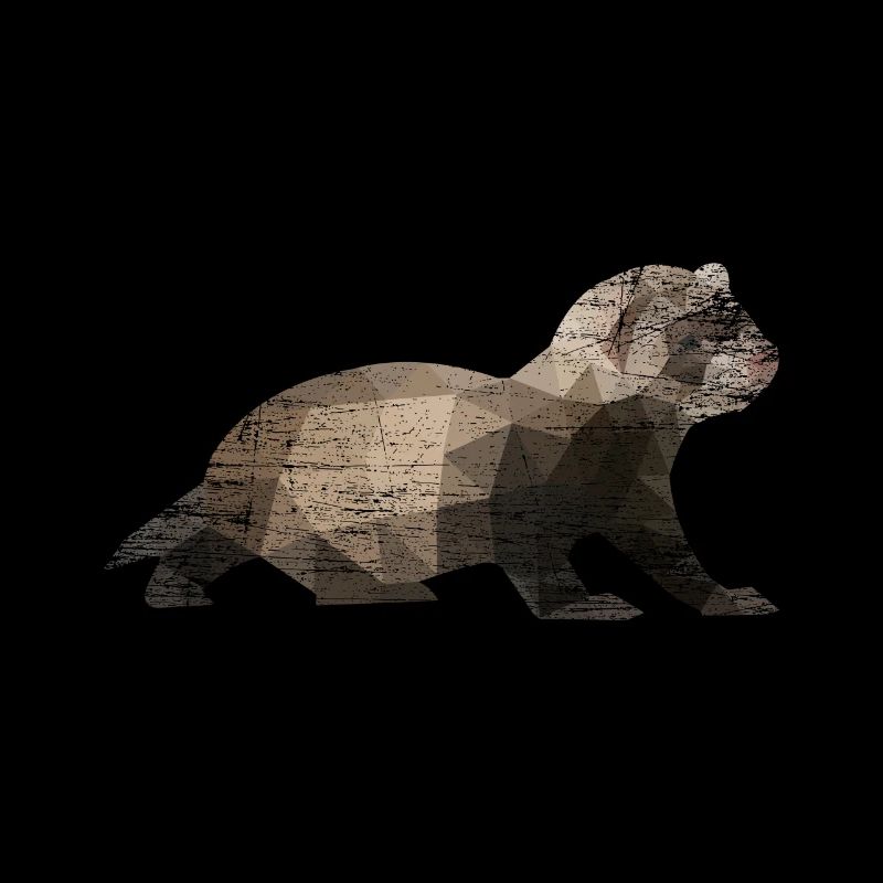 Furet polygone polecat