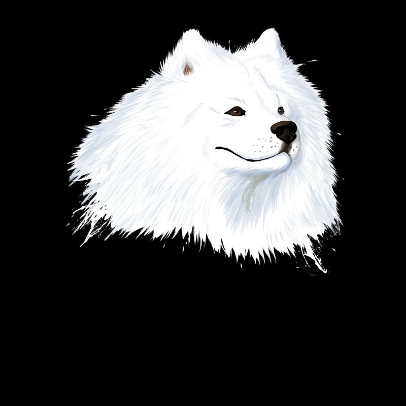Samojede Hund