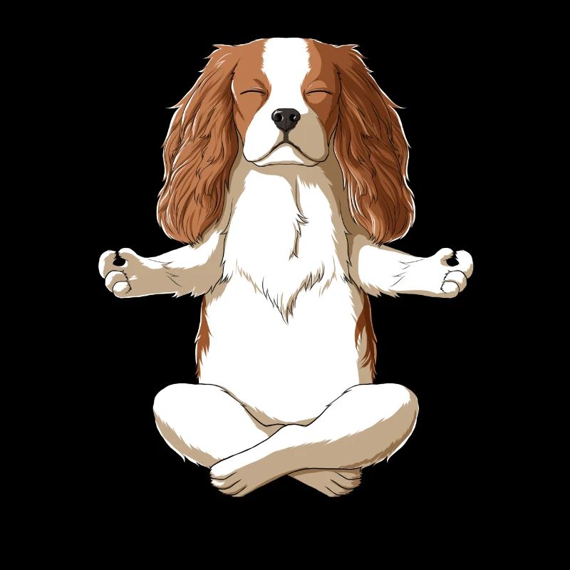 Cavalier King Charles Spaniel