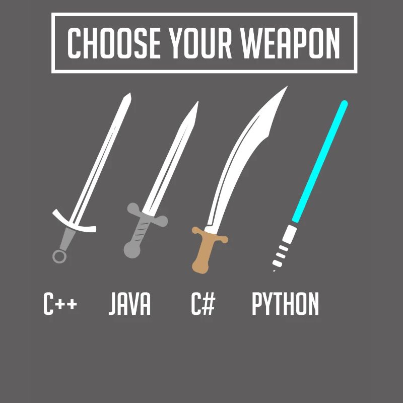 Programmation Python, programmeur Code Python