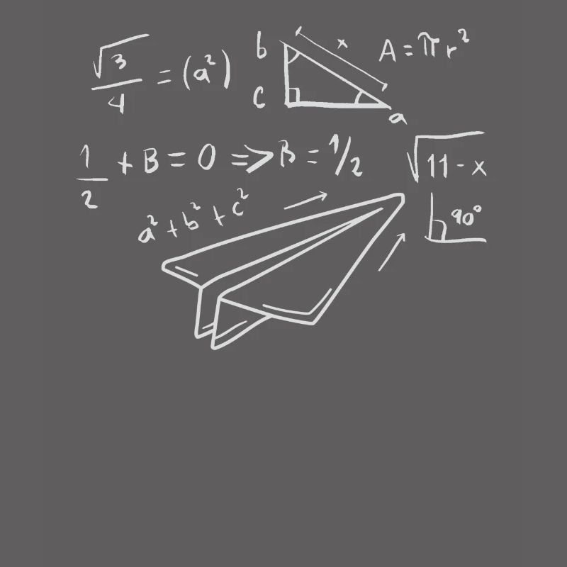Paper Airplane Pilot Math Teacher Engineer
