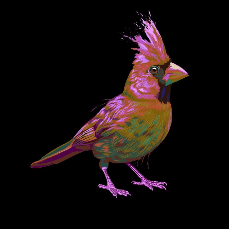 Bunter Splash Vogel Rotkardinal