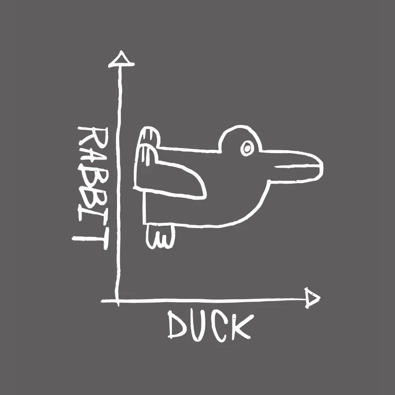 Rabbit Duck Ducks Duck