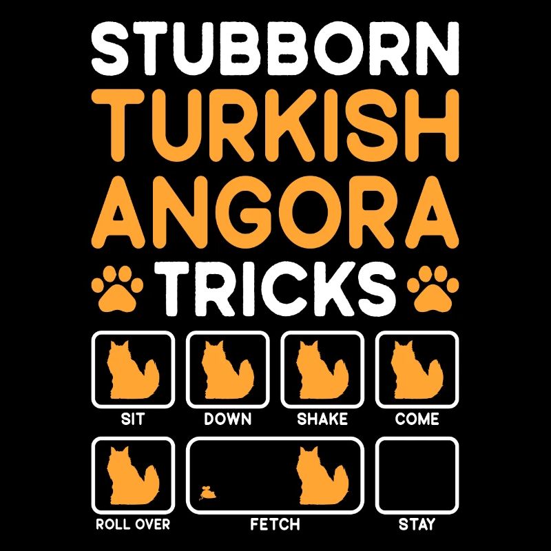 Stubborn Tricks Turkish Angora Cat