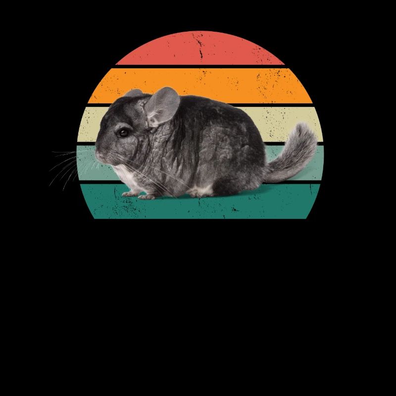 Nagetiere Nager Hamster Ratte Maus Eichhörnchen