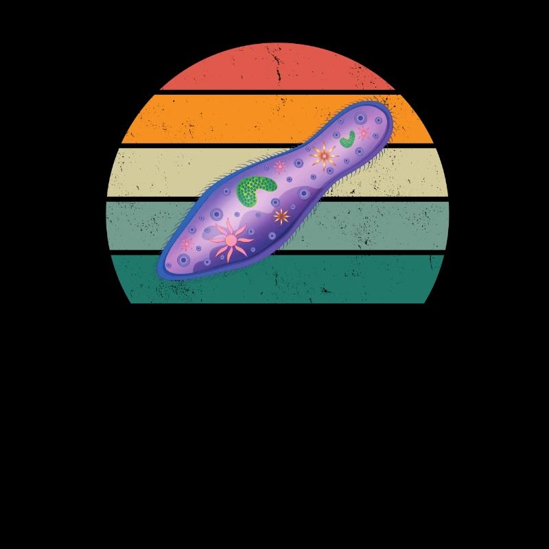 Slipper Tardian Microscope Microbiology