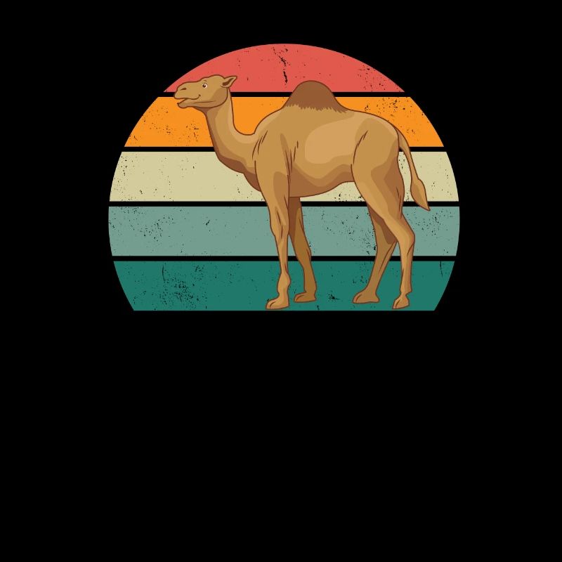 Camels Camel Desert Arabia Dromedary Camel