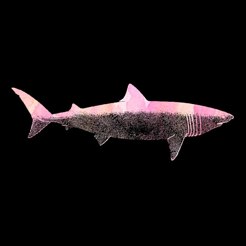 Attaque de requin