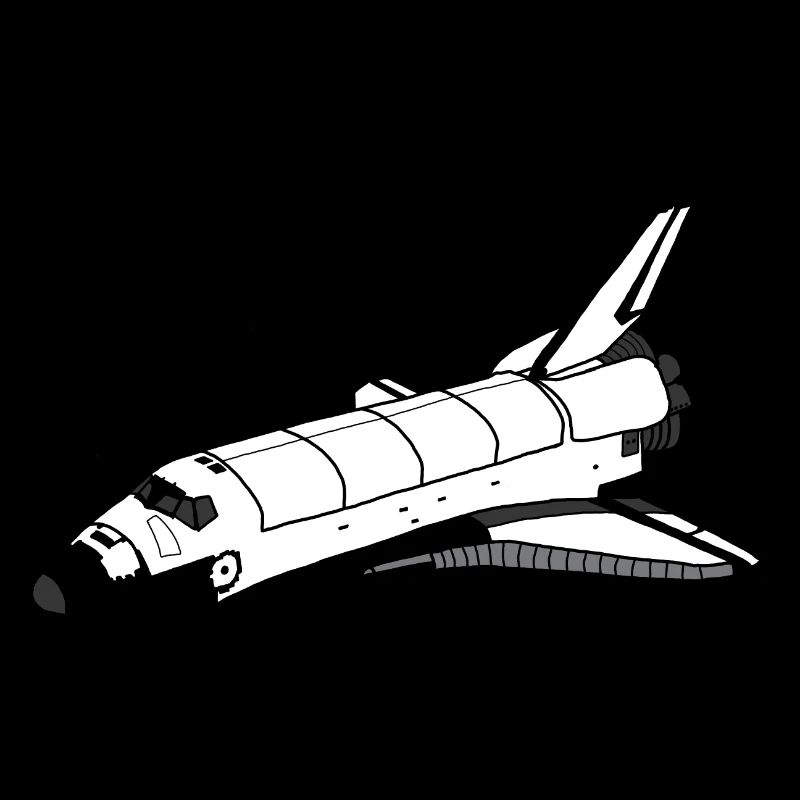 Space Shuttle