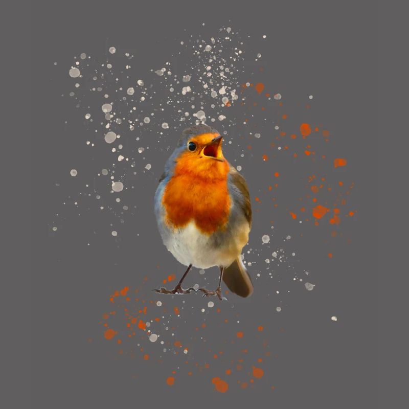 cute chirping robin Robin