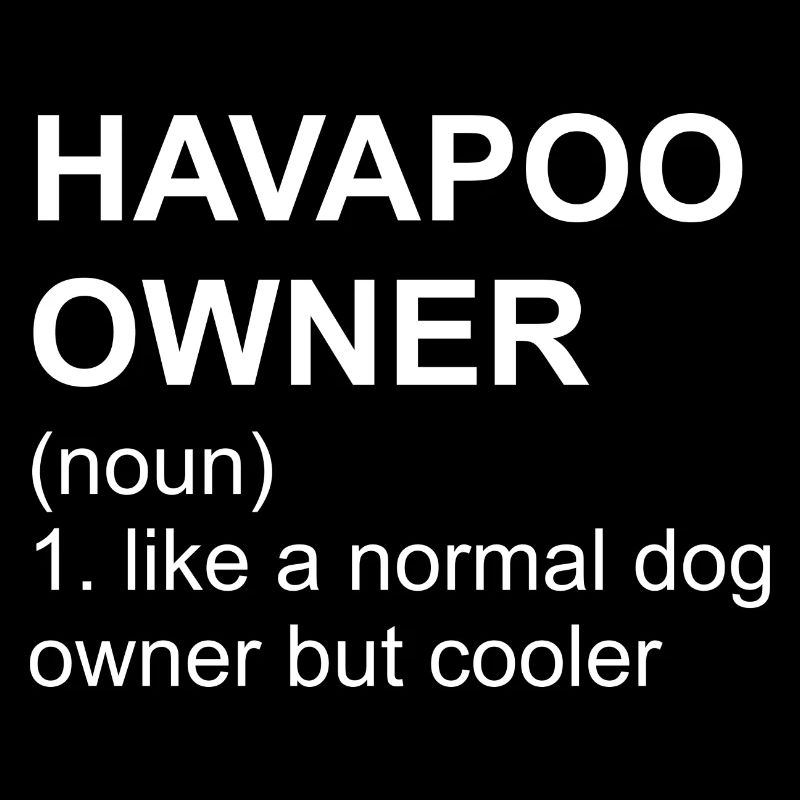 Havapoo Owner I Havaneser Pudel Mix