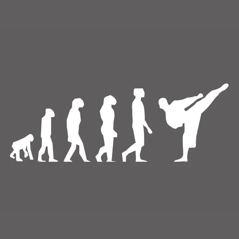 Karaté évolution