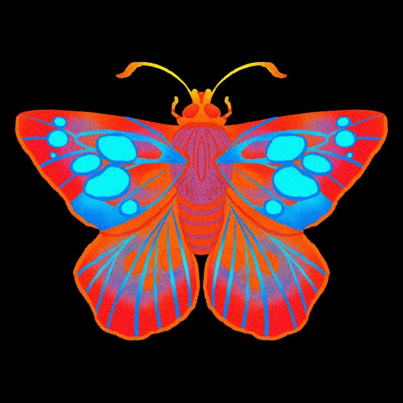 Papillon