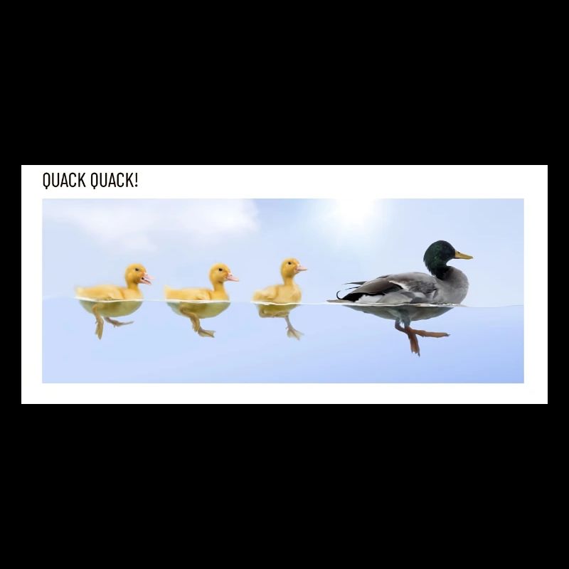 Charlatan de canard