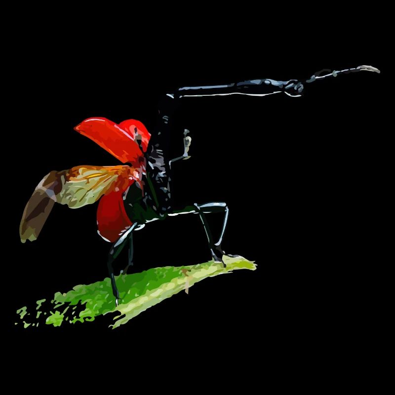 Giraffe weevil De Madagascar