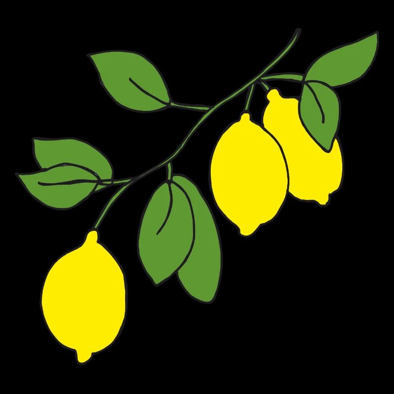 Branche de citronnier