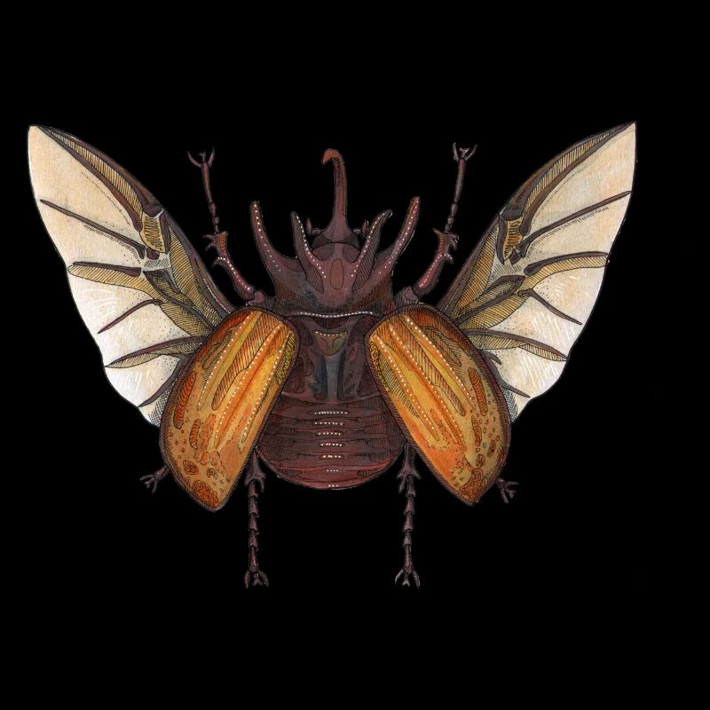 Big Beetle Stag - fauve géant de coléoptère brun