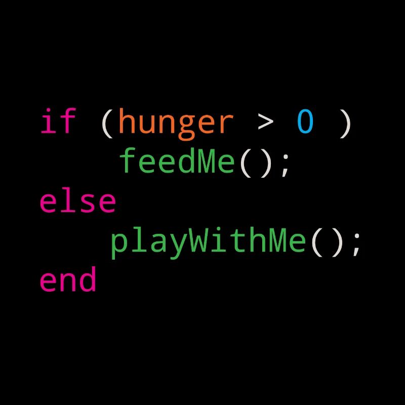 Programmierer Quellcode Hunger oder Spielen
