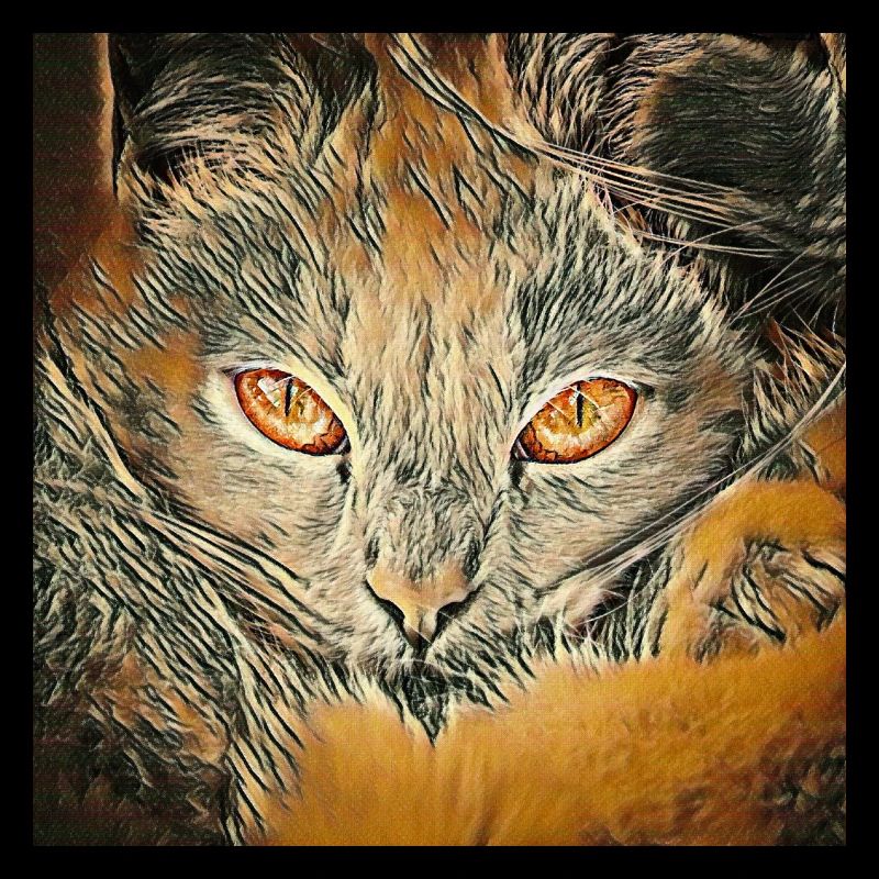 Fauve
