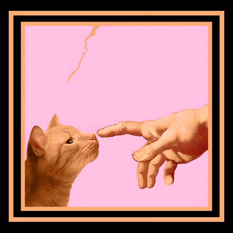 Chat