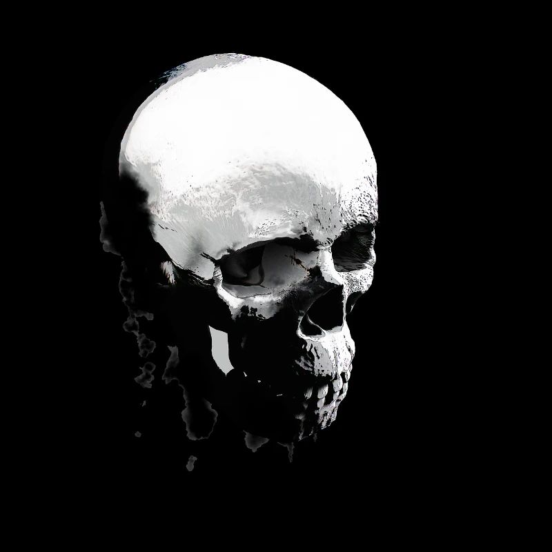 SKULLe