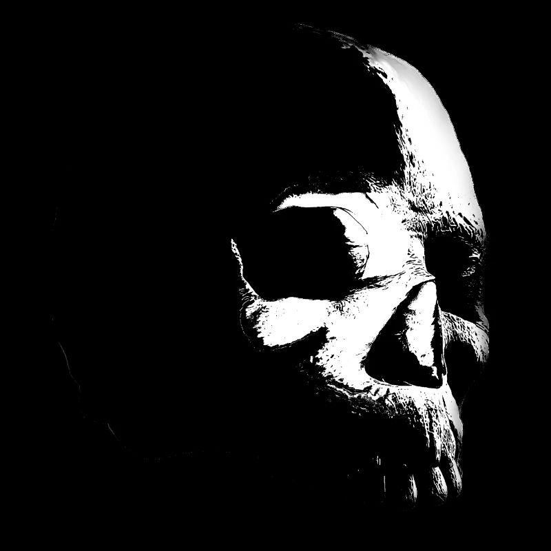 SKULL 1